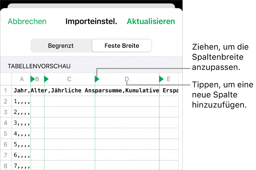 Die Importeinstellungen für eine Textdatei mit fester Breite.