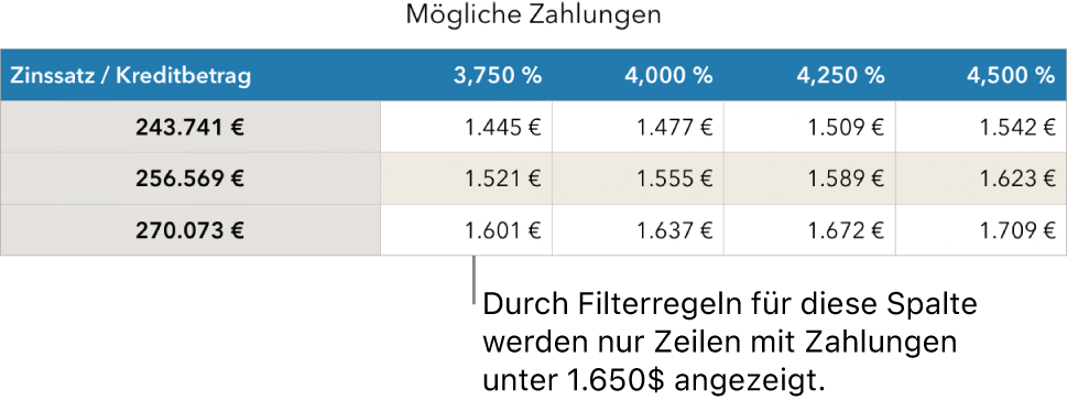 Eine Tabelle mit Ratenzahlungen nach dem Filtern für finanzierbare Tilgungsraten.