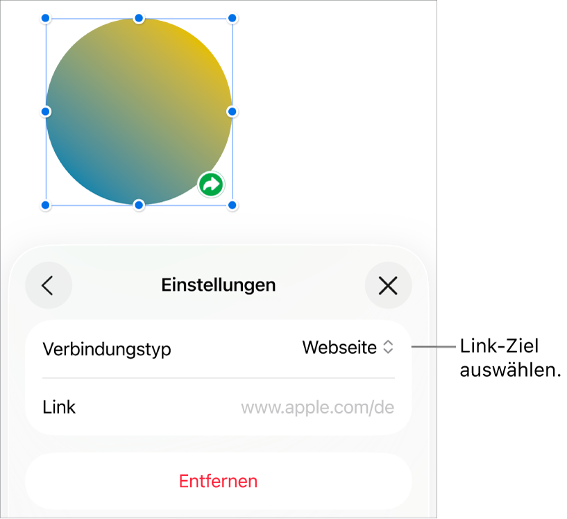 Die Steuerelemente der Linkeinstellungen mit ausgewählter Webseite und der Taste „Entfernen“ unten.
