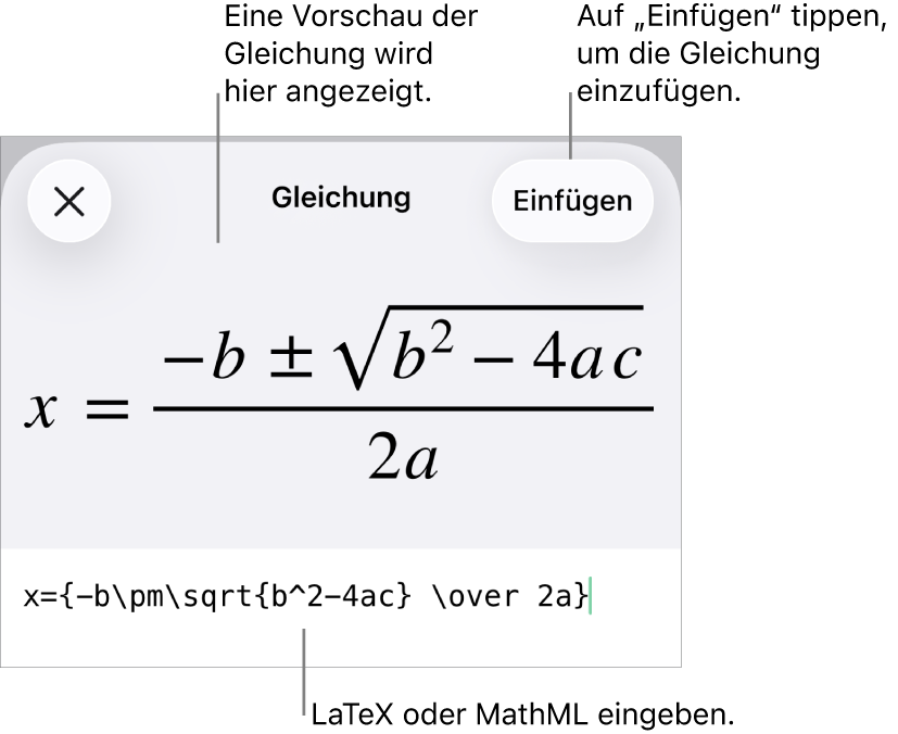 Im Dialogfenster „Gleichung“ wird eine Gleichung angezeigt, die mit MathML-Befehlen geschrieben wurde, darüber wird eine Vorschau der Formel angezeigt.