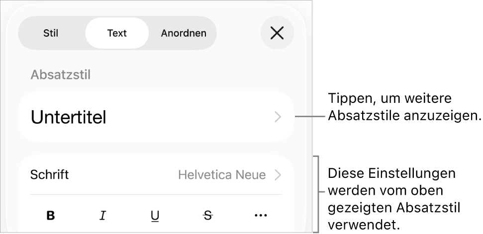 Das Menü „Format“ mit Textsteuerelementen zum Festlegen von Absatz- und Zeichenstilen, Schrift, Größe und Farbe