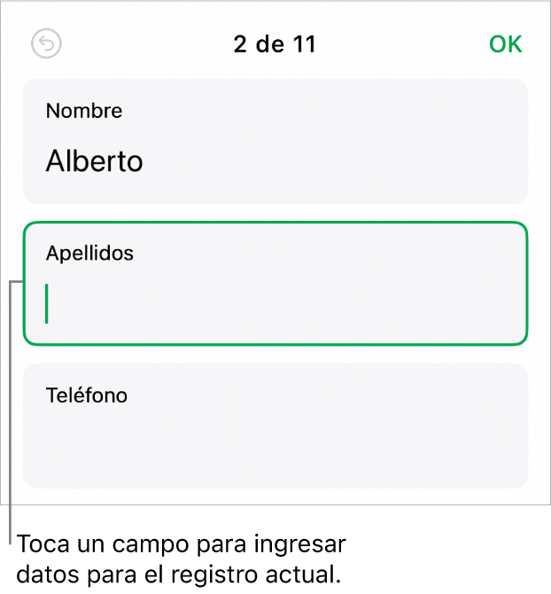 Se muestra un registro en un formulario con un campo activo con un punto de inserción.