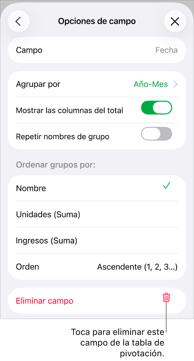 El menú Opciones de campo, que muestra los controles para agrupar y ordenar datos, así como la opción para eliminar un campo.