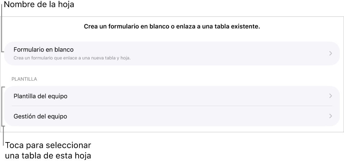 Una lista de tablas pertenecientes a la misma hoja de cálculo, con la opción de crear un formulario en blanco en la parte superior.