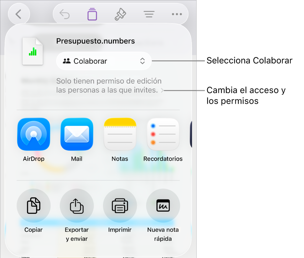 El menú Compartir con la opción Colaborar seleccionada en la parte superior y los ajustes de acceso y permisos debajo.