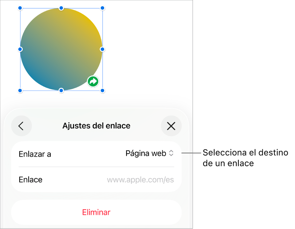 Controles de “Ajustes de enlace” con la opción “Página web” seleccionada y el botón Eliminar en la parte inferior.