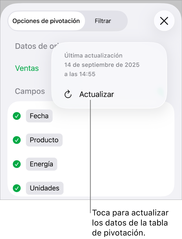 Pestaña “Opciones de pivotación” que muestra la opción de actualizar la tabla de pivotación.