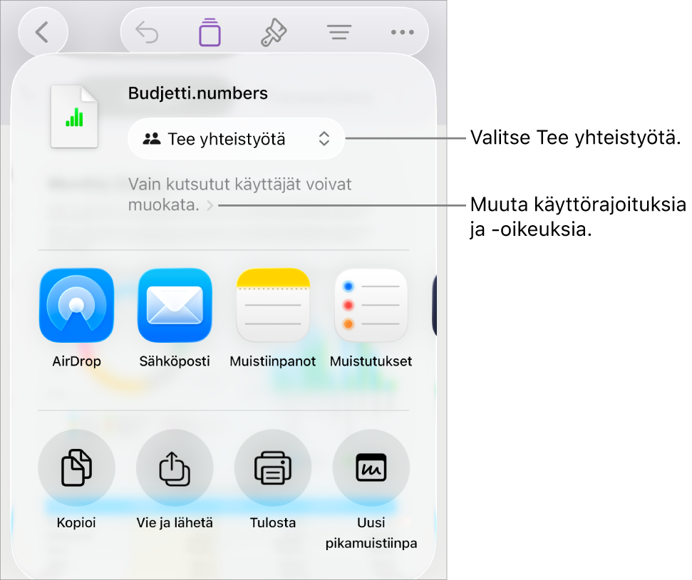 Jaa-valikko, jossa on ylhäällä valittuna Tee yhteistyötä, ja sen alla ovat käyttöoikeus- ja lupa-asetukset.