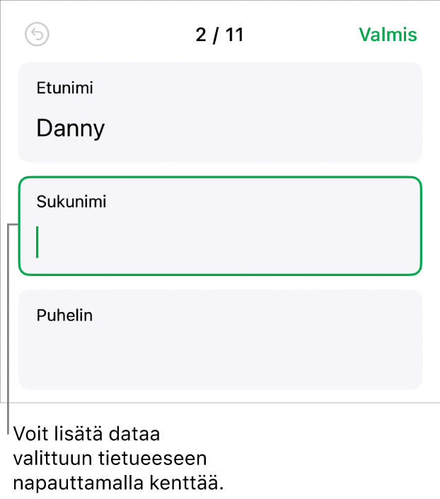 Lomakkeen tietue, jossa näkyy aktiivinen kenttä ja lisäyskohta.