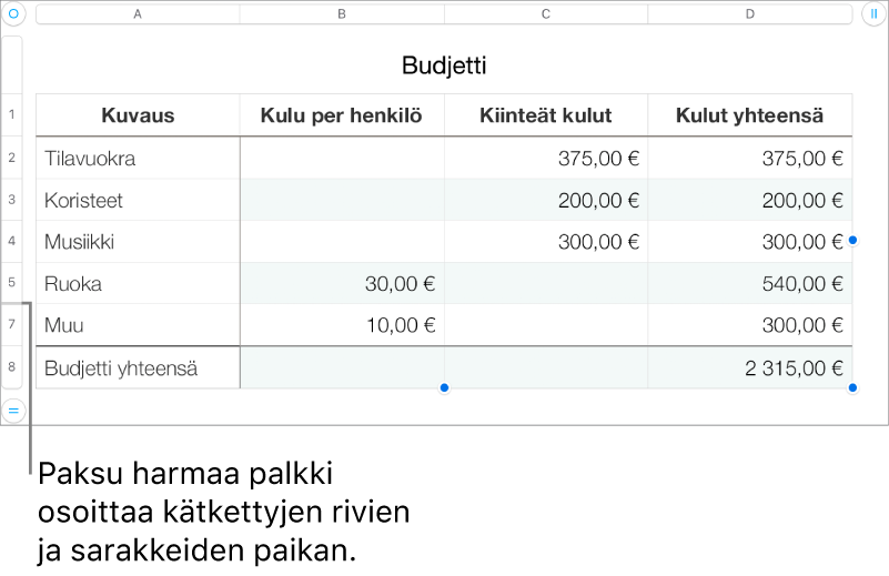 Paksu harmaa palkki, joka osoittaa kätkettyjen rivien ja sarakkeiden sijainnin.