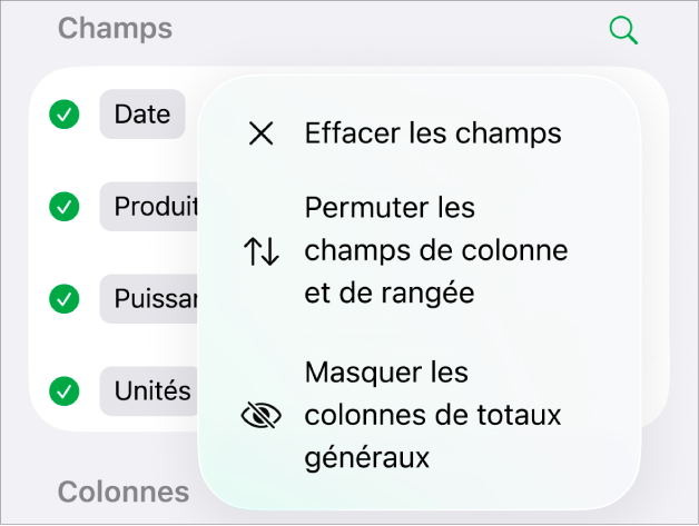 Menu Options de champ avec commandes permettant de masquer les totaux généraux, de permuter les champs de colonne et de rangée et d’effacer des champs.