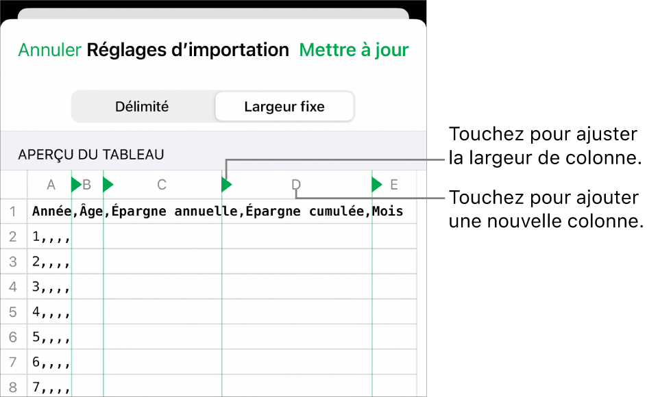 Réglages d’importation d’un fichier texte à largeur fixe.