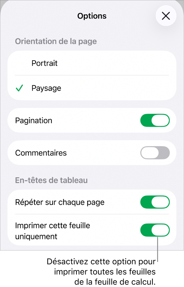 Options d’impression permettant de choisir l’orientation de la page, d’afficher les numéros de page et les en-têtes, et de choisir le format du papier et les pages à imprimer.