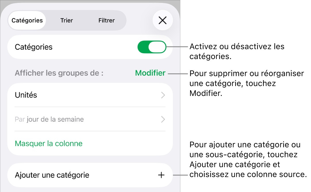 Le menu Catégories pour l’iPhone avec des options pour désactiver des catégories, supprimer des catégories, regrouper des données, masquer une colonne source et ajouter des catégories.