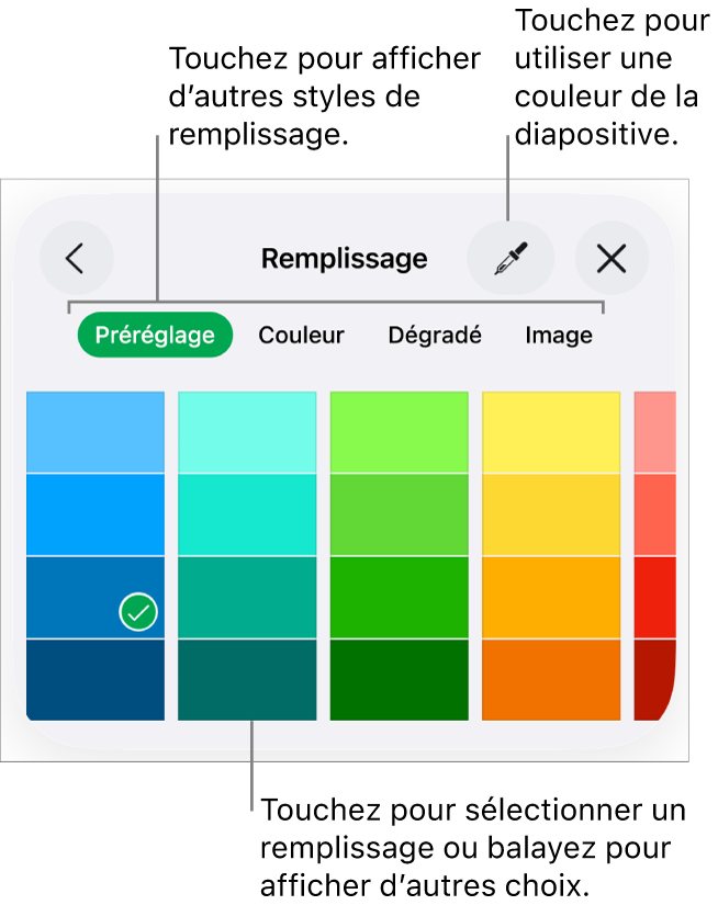 Options de remplissage de l’onglet Style du bouton Format.