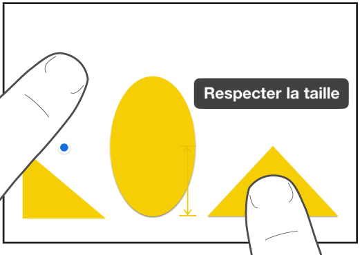 Un doigt juste au-dessus d’une forme et un autre tenant un objet avec « Respecter la taille » à l’écran.