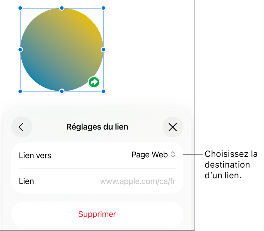 Les commandes Réglages du lien avec l’option Page Web sélectionnée au-dessus du bouton Supprimer.