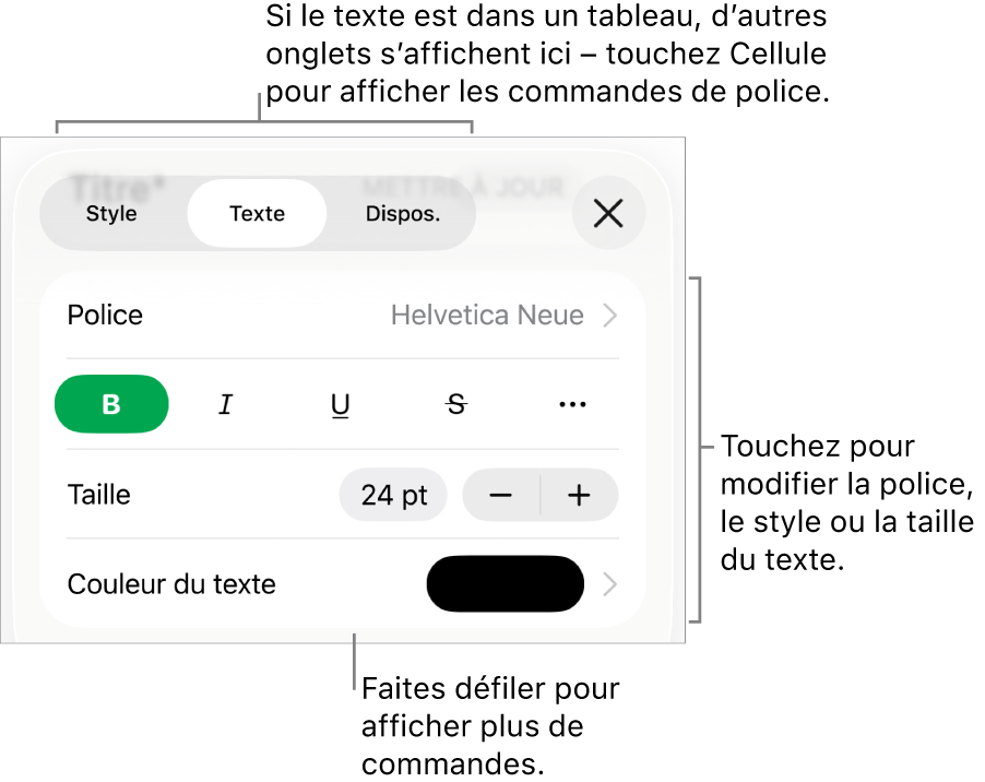 Commandes de texte du menu de format permettant de définir les styles, la police, la taille et la couleur des paragraphes et des caractères.