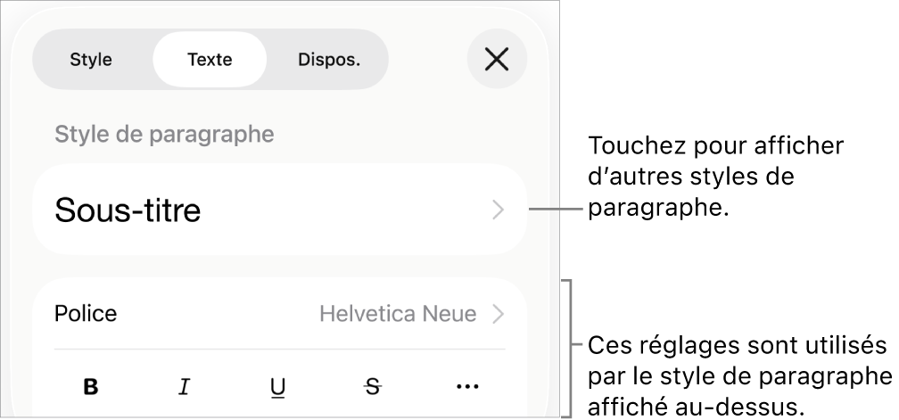 Menu Format avec commandes de texte permettant de définir les styles, la police, la taille et la couleur des paragraphes et des caractères.