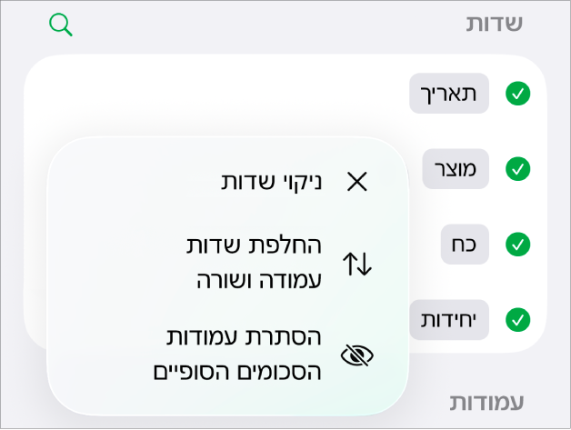 התפריט ״אפשרויות שדה נוספות״ שבו מוצגים הפקדים להסתרת הסכומים הסופיים, החלפה בין שדות העמודה והשורה וניקוי שדות.