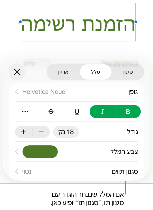כלי הבקרה לעיצוב מלל עם ״סגנון תווים״ מתחת לכלי הבקרה של צבעים. סגנון התווים ״ללא״ מופיע עם כוכבית.