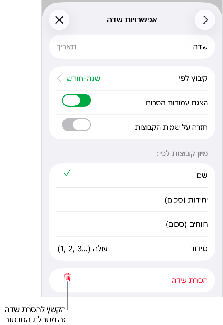 התפריט ״אפשרויות שדה״, שבו מוצגים פקדים לקיבוץ ומיון של נתונים, וכן האפשרות להסיר שדה.