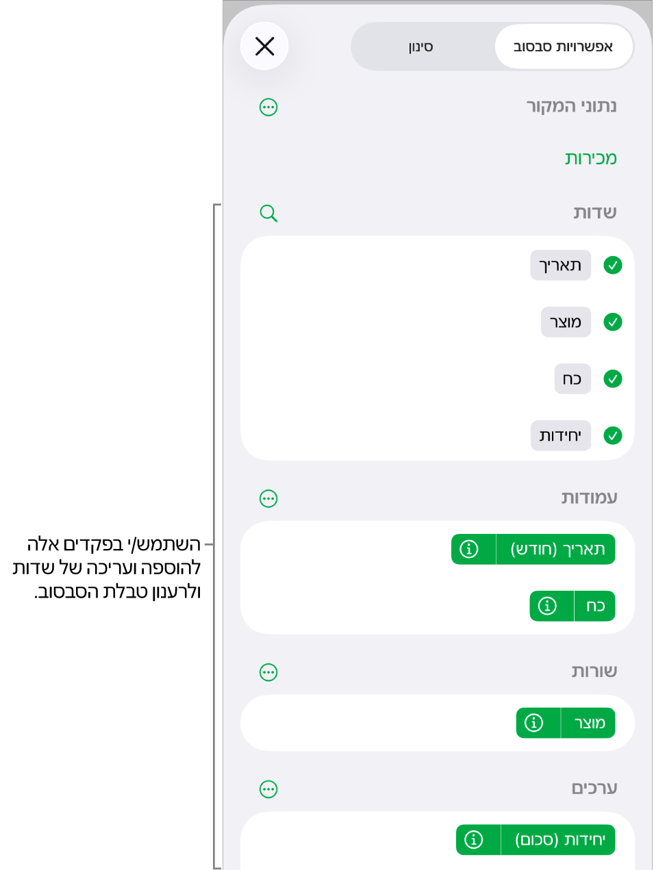 התפריט ״אפשרויות סבסוב״ שבו מוצגים שדות במקטעים ״עמודות״, ״שורות״ ו״ערכים״, וכן פקדים לעריכת השדות.
