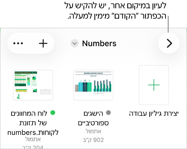 תצוגת העיון של מנהל המסמכים עם קישור למיקום בפינה הימנית העליונה ומתחתיו שדה חיפוש. בפינה השמאלית העליונה רואים את הכפתור ״הוסף גיליון עבודה״ ואת הכפתור ״עוד״. בתחתית המסך ישנם הכפתורים ״אחרונים״ ו״עיון״.