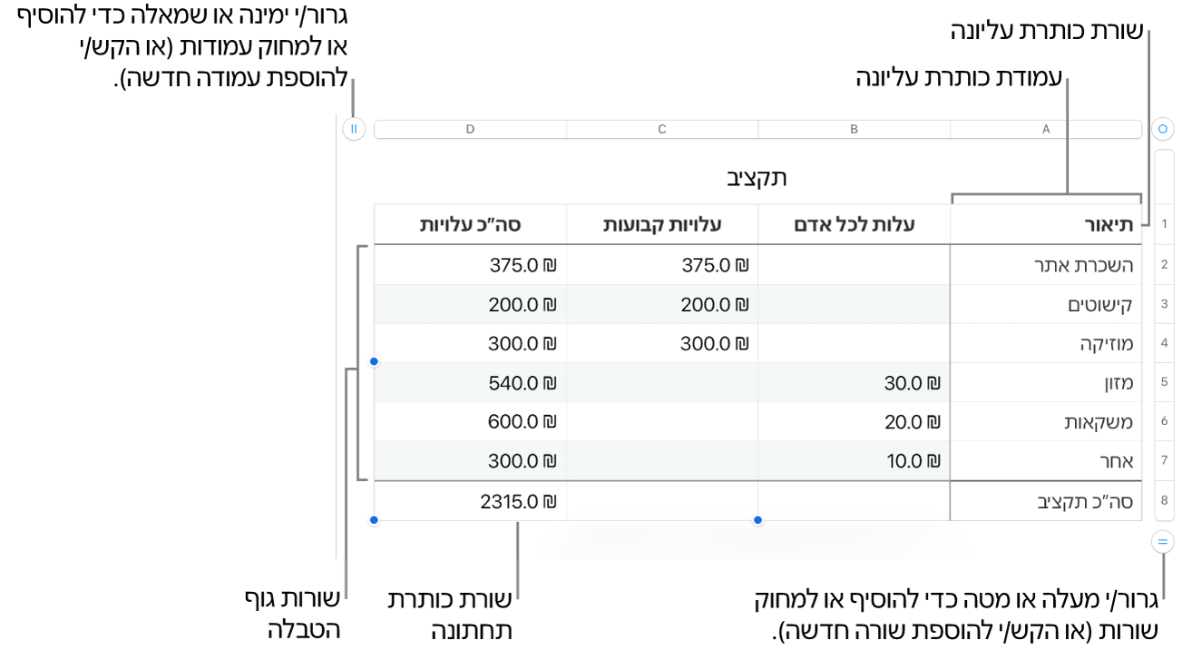 טבלה עם שורות ועמודות כותרת עליונה, גוף טבלה וכותרת תחתונה ועם ידיות אחיזה להוספה או מחיקה של שורות או עמודות.