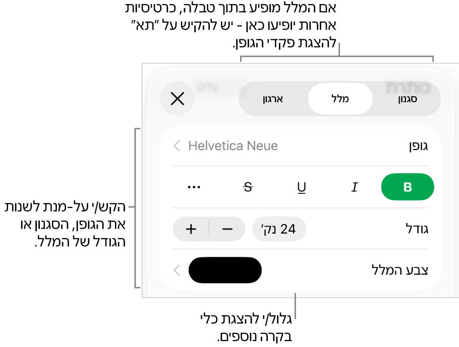 כלי בקרה של מלל בתפריט ״עיצוב״ להגדרת סגנונות, גופן, גודל וצבע עבור פיסקאות ותווים.