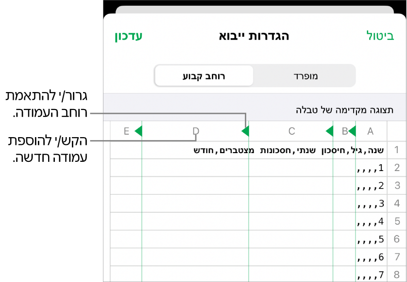 הגדרות הייבוא עבור קובץ מלל ברוחב קבוע.