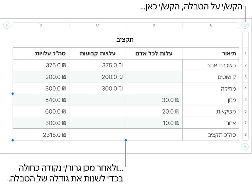 טבלה שנבחרה, עם נקודות כחולות לשינוי גודל.