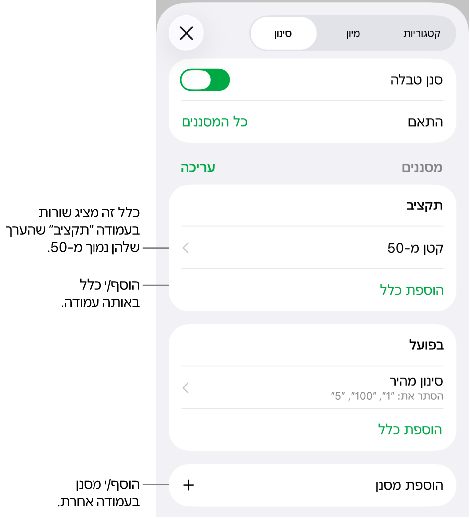 כלי בקרה להוספת כללי סינון חדשים או לעריכת כללים קיימים.