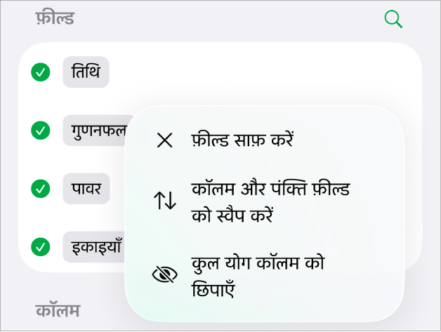 अधिक फ़ील्ड विकल्प मेनू जो कुल योग को छिपाने, कॉलम और पंक्ति फ़ील्ड को स्वैप करने और फ़ील्ड को साफ़ करने के लिए नियंत्रण दिखाता है।