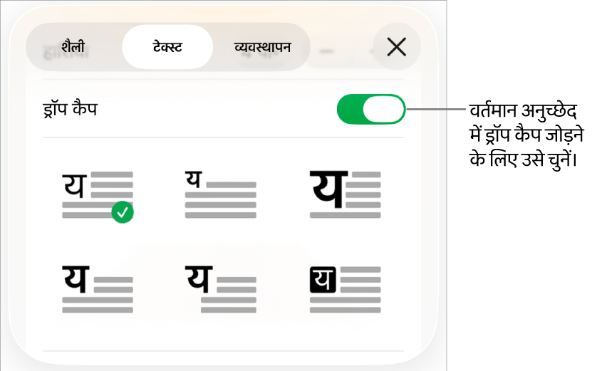 ड्रॉप कैप नियंत्रण टेक्स्ट मेनू के नीचे होते हैं।