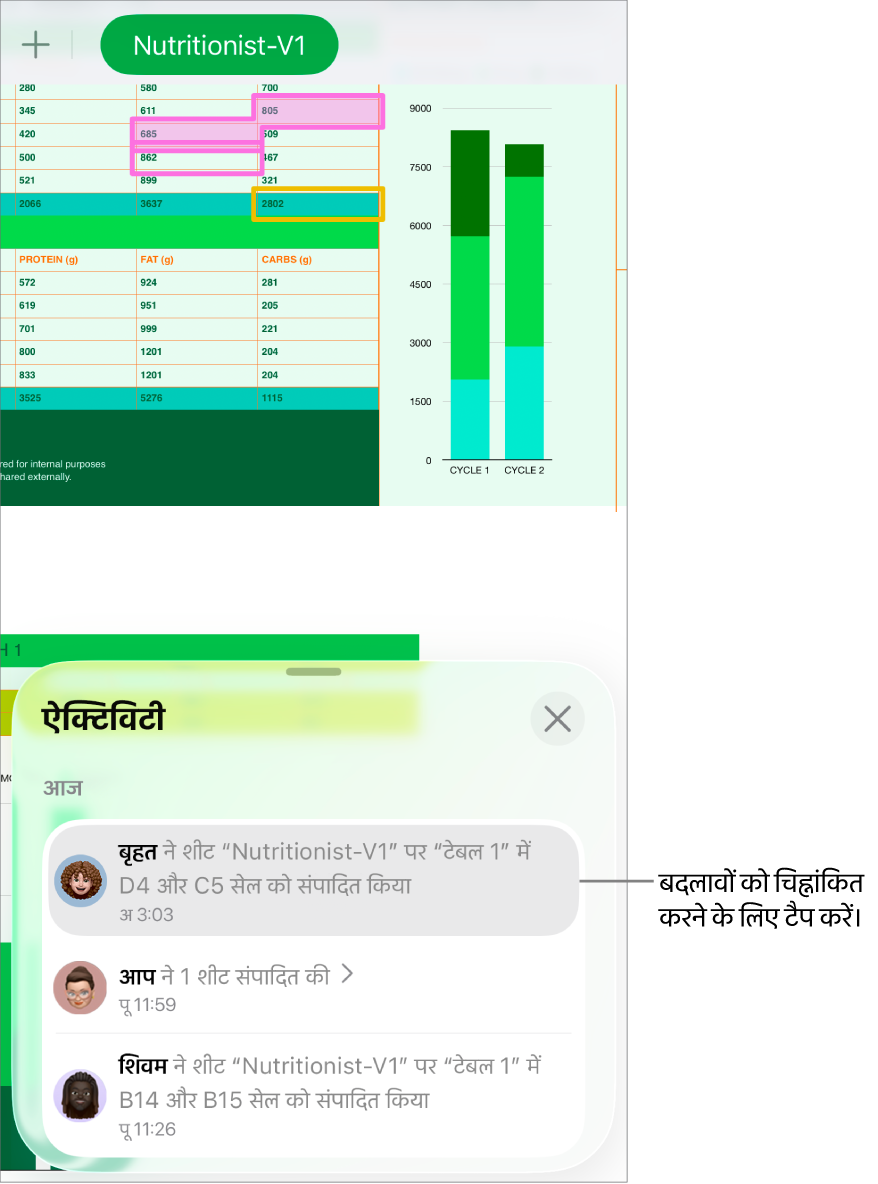 सहयोगात्मक स्प्रेडशीट जिसमें सहयोग मेनू और ऐक्टिविटी सूची, दोनों खुले हैं।