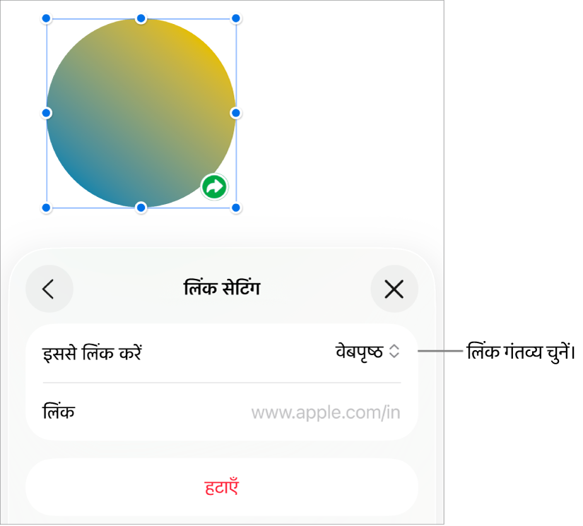 चुने गए वेबपृष्ठ के साथ लिंक सेटिंग्ज़ नियंत्रण और सबसे नीचे “लिंक हटाएँ” बटन।