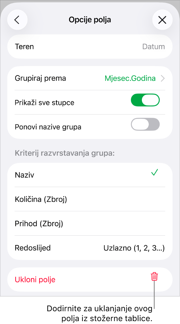 Izbornik Opcije polja prikazuje naredbe za grupiranje i razvrstavanje podataka, kao i opcije za uklanjanje polja.