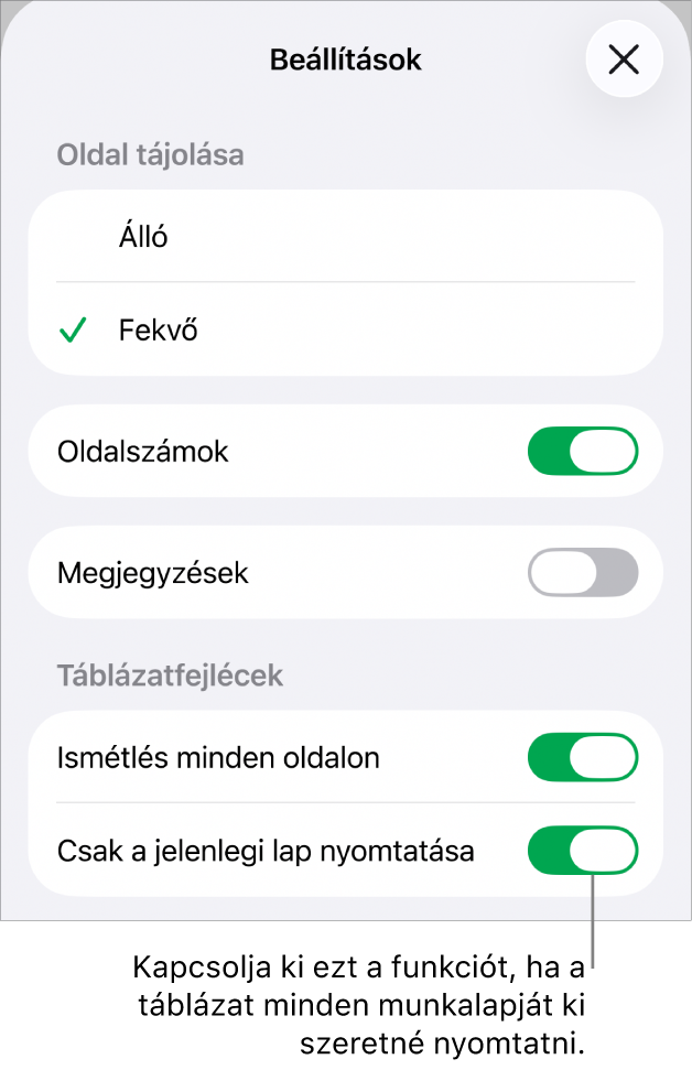 Nyomtatási beállítások az oldaltájolás kiválasztásához, az oldalszámok és fejlécek megjelenítéséhez, valamint az oldalméret és a nyomtatni kívánt oldalak kiválasztásához.