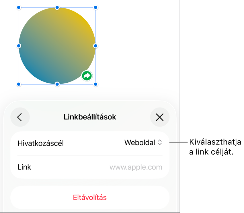 A Linkbeállítások vezérlői a kijelölt Weboldal elemmel, illetve az alul megjelenő Eltávolítás gombbal.