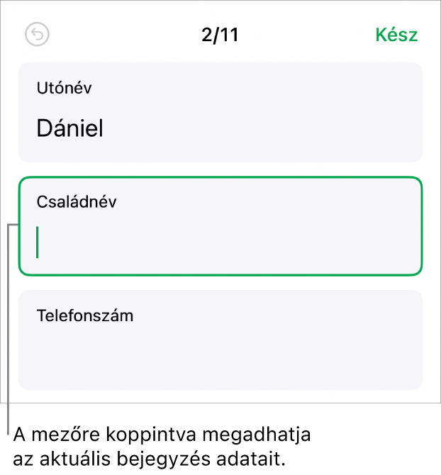 Egy űrlap bejegyzése az aktív mezővel és a beszúrási ponttal.