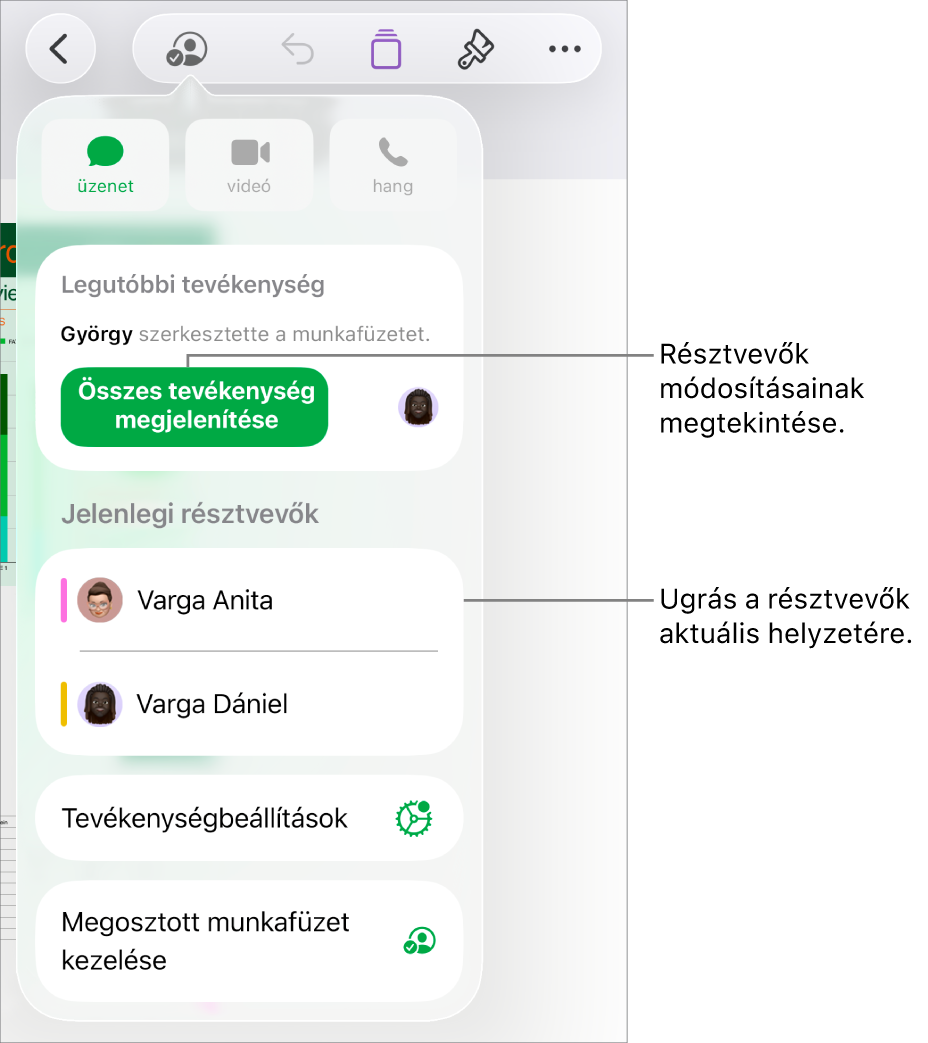 Az együttműködési menü a jelenlegi résztvevőkkel.