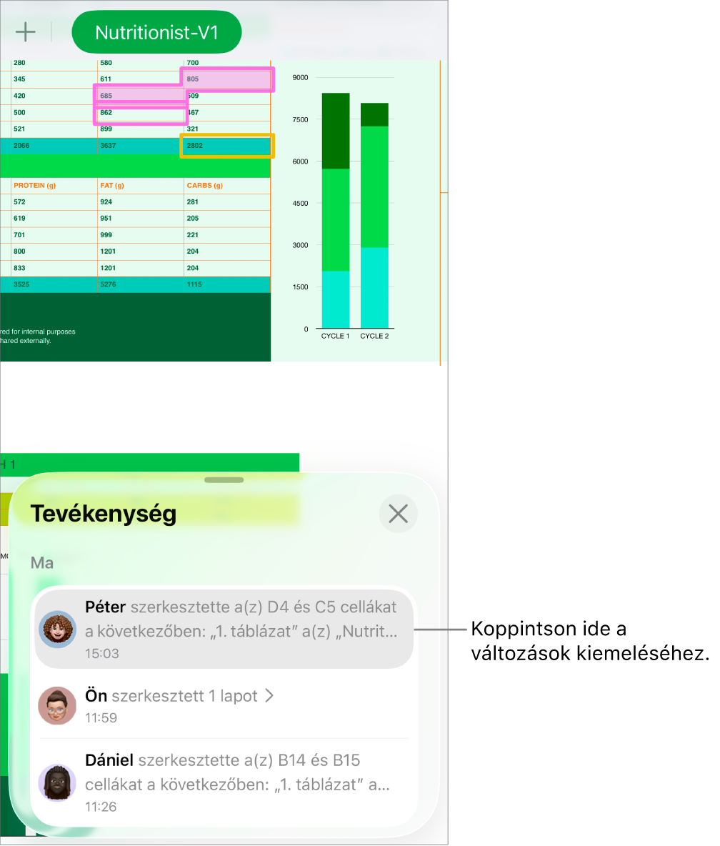 Egy együttműködési munkafüzet a megnyitott együttműködési menüvel és a tevékenységlistával.