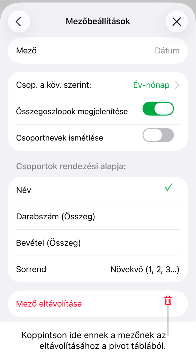 A Mezőbeállítások menü az adatok csoportosítására és rendezésére szolgáló vezérlőkkel, illetve a mező eltávolítására szolgáló lehetőséggel.