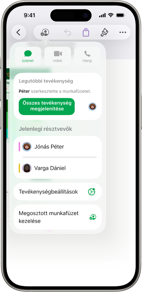Az együttműködés menüje, amelyben a munkafüzeten együttműködő személyek nevei láthatók.