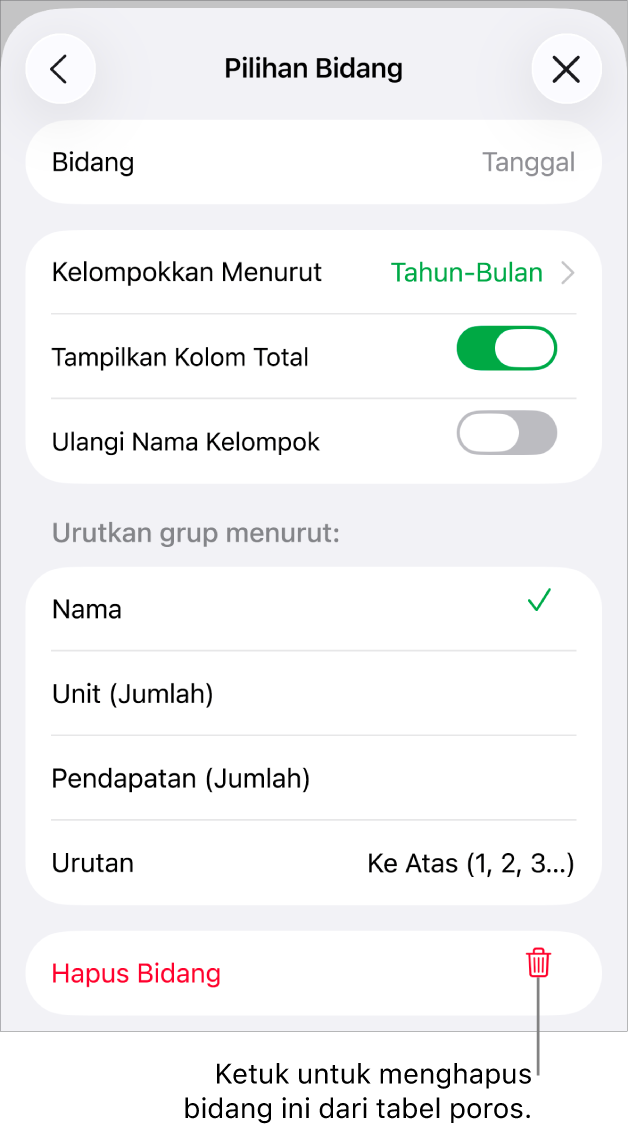 Menu Pilihan Bidang, menampilkan kontrol untuk mengelompokkan dan mengurutkan data, serta pilihan untuk menghapus bidang.