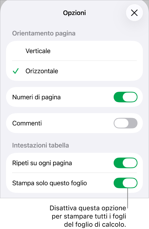 Opzioni di stampa per scegliere l’orientamento della pagina, visualizzare i numeri di pagina e le intestazioni, nonché scegliere le dimensioni della pagina e quali pagine stampare.