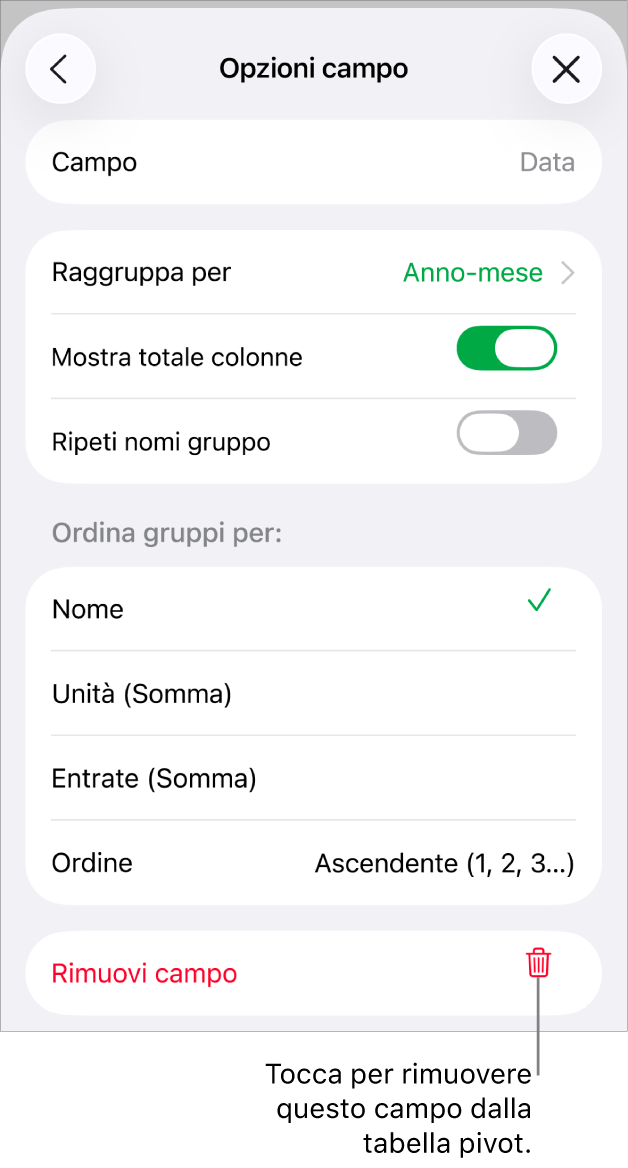 Il menu “Opzioni campo” che mostra i controlli per raggruppare e ordinare i dati, nonché le opzioni per rimuovere un campo.