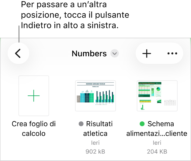 La vista Sfoglia del gestore documenti con il pulsante Indietro nell’angolo in alto a sinistra. Sotto di esso si trova il campo di ricerca. Sotto il campo di ricerca è presente il pulsante “Crea foglio di calcolo” accanto alle miniature dei fogli di calcolo esistenti. Nell’angolo in alto a destra sono presenti i pulsanti Aggiungi e Altro.