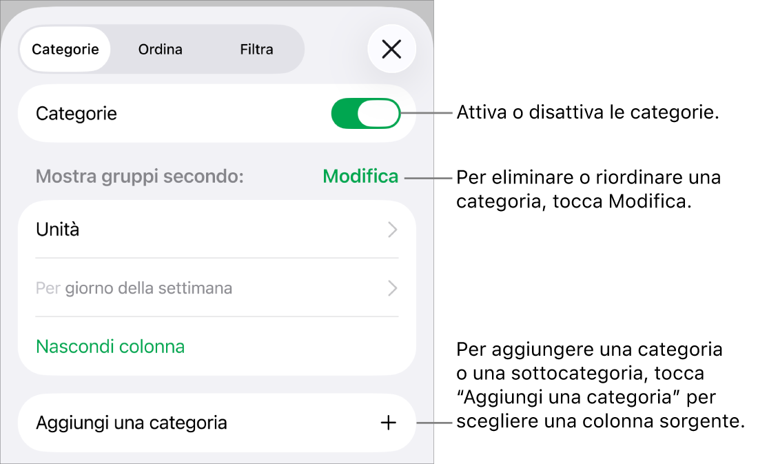 Il menu delle categorie in iPhone con opzioni per disattivare le categorie, eliminare le categorie, raggruppare i dati, nascondere una colonna sorgente e aggiungere le categorie.